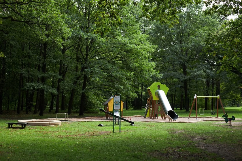 Natura w Strachowicach